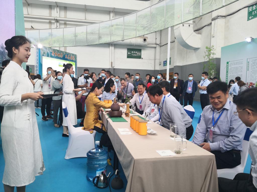 FUN88乐天使在线登录