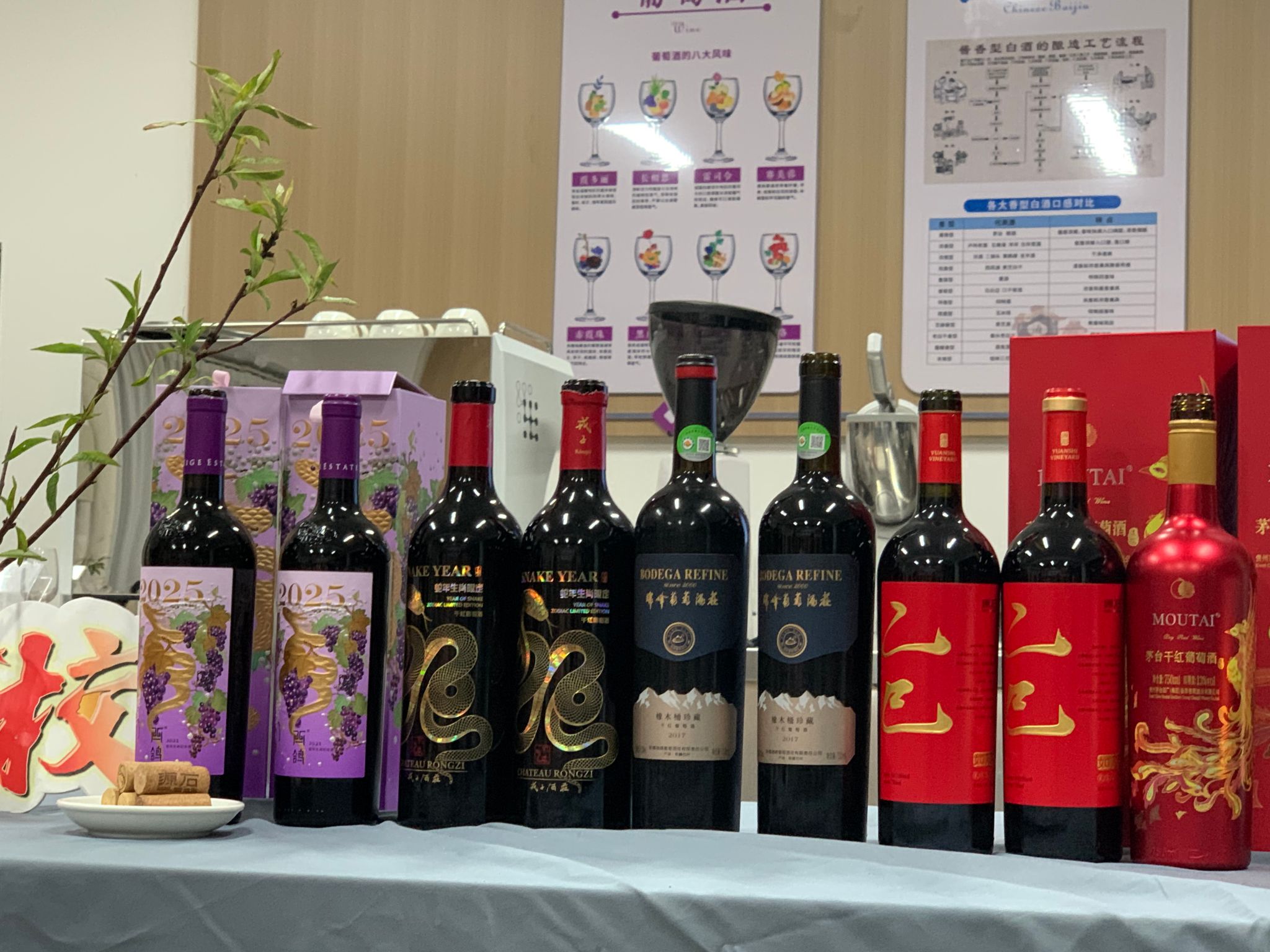 FUN88乐天使在线登录