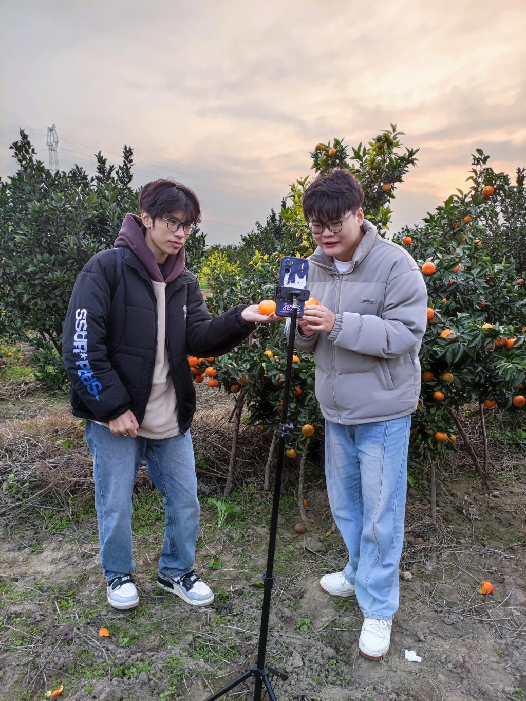 FUN88乐天使在线登录