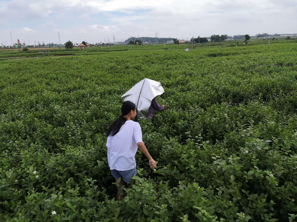 FUN88乐天使在线登录