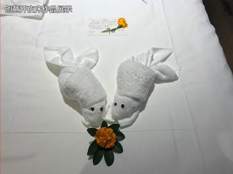 FUN88乐天使在线登录