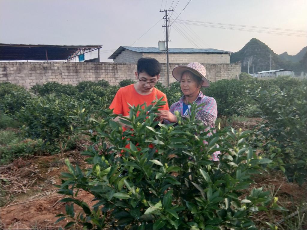 FUN88乐天使在线登录
